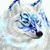 :iconblu-wolfe:
