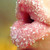 :iconbluberriexd: