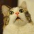 :iconblubobelninja: