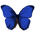 :iconblubttrfl: