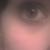 :iconblububblebee: