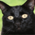 :iconbluchickenninja: