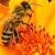 :iconblue--and--yellow: