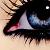 :iconblue-andyellow: