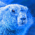 :iconblue-beaver: