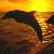 :iconblue-blossom-faerie: