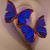 :iconblue-butterfly007: