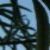 :iconblue-dizzle: