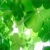 :iconblue-dogstar: