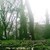 :iconblue-duchess:
