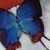 :iconblue-eyed-bomshell: