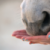 :iconblue-eyed-book-lover: