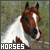 :iconblue-eyed-me14:
