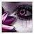 :iconblue-eyedkitten: