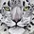:iconblue-fires: