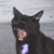:iconblue-fuct: