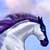 :iconblue-horse07: