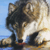 :iconblue-k9s: