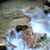 :iconblue-light-special: