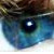 :iconblue-marble: