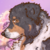 :iconblue-merle-dog: