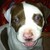 :iconblue-narazabeth: