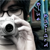 :iconblue-nicotine: