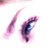 :iconblue-nile: