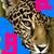 :iconblue-panther: