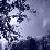 :iconblue-rose-thorns: