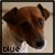 :iconblue-spectra: