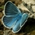 :iconblue-summer-s: