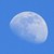 :iconblue-suni-6401: