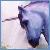 :iconblue-unicorn:
