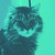 :iconblue-violet-bob: