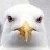 :iconblue-yellow-red: