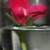 :iconbluebeel: