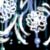 :iconblueberry-poison: