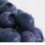 :iconblueberry-studios: