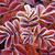 :iconblueberry1515: