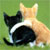 :iconblueberryjelly: