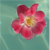 :iconblueberrylollipops: