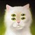 :iconblueberrylorax: