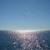 :iconblueberryworld:
