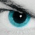 :iconbluebooy: