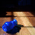 :iconbluebottles: