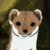 :iconbluebrm: