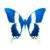 :iconbluebutterfly654: