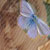 :iconbluebutterflyart: