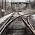 :iconbluecellar: